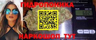 синтетический гашиш Кингисепп